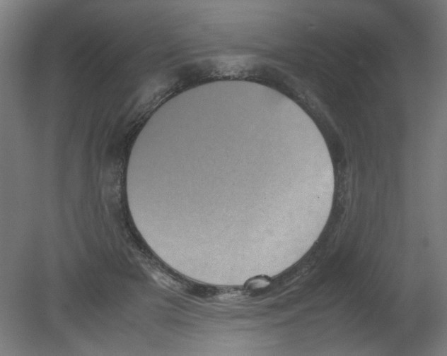 X0000080760505200701122033