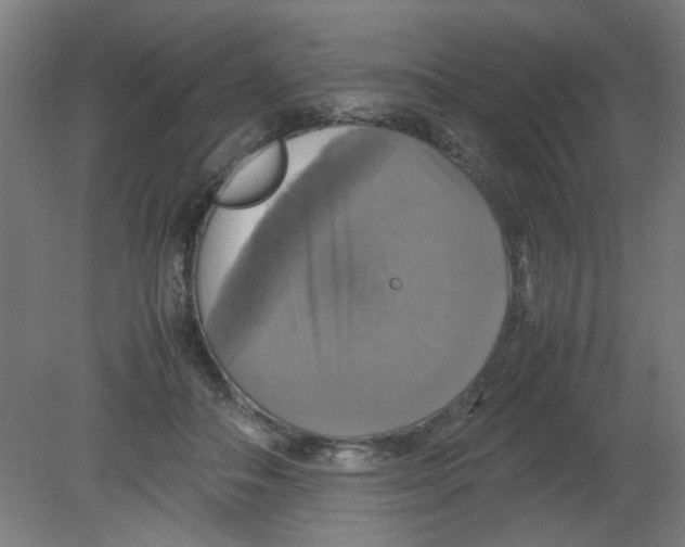 X0000080760506200701122033