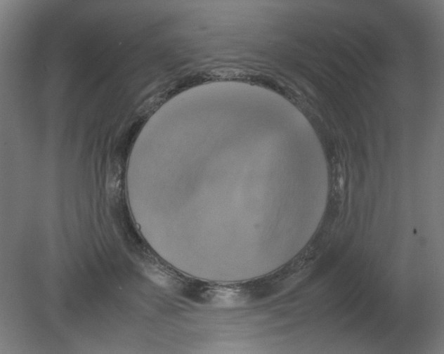 X0000080760507200701122033