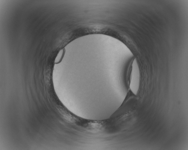 X0000080760509200701122033