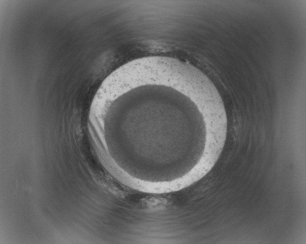 X0000080760512200701122033