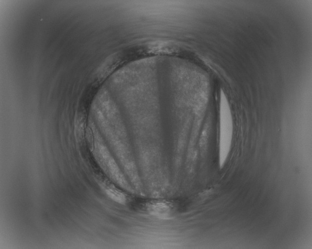 X0000080760513200701122033