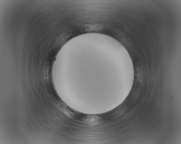 X0000080760514200701122033