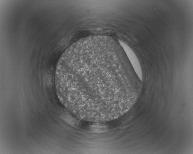 X0000080760515200701122033