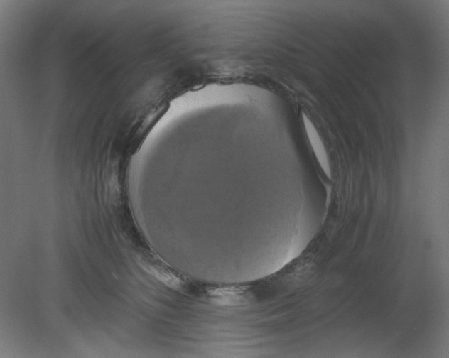 X0000080760516200701122033