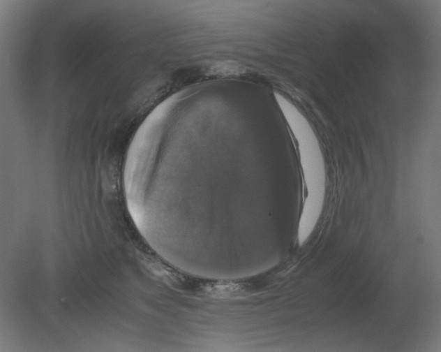 X0000080760517200701122033