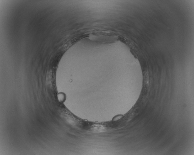 X0000080760519200701122032