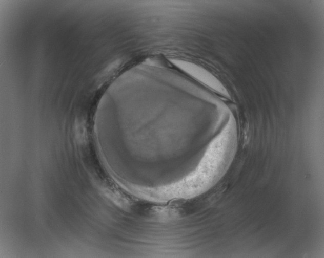 X0000080760520200701122032