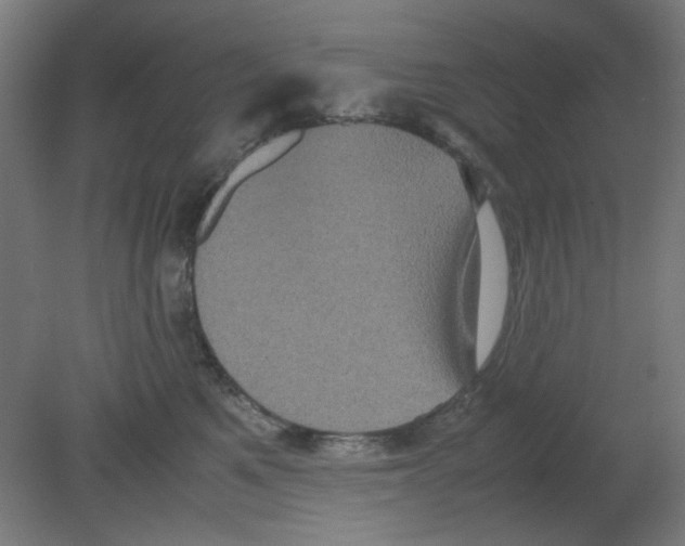 X0000080760521200701122032