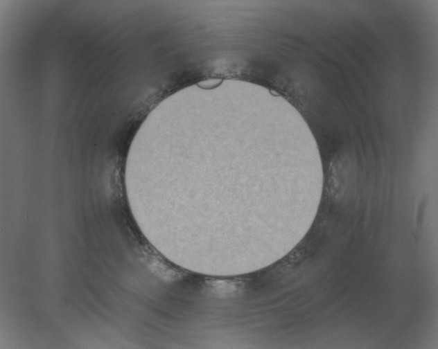 X0000080760522200701122032