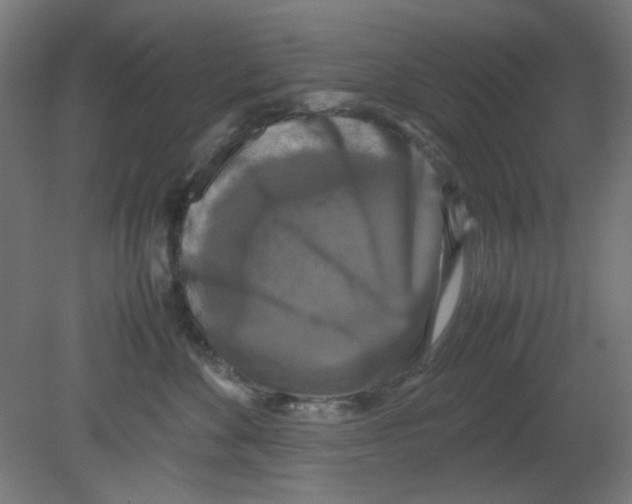 X0000080760524200701122032
