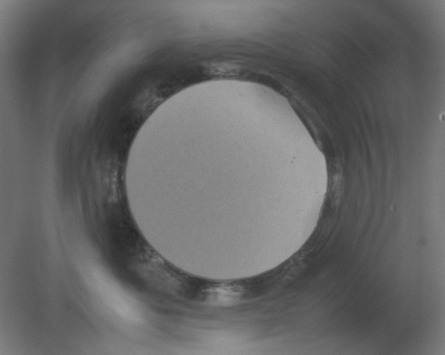 X0000080760525200701122032