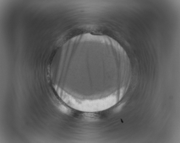 X0000080760528200701122032