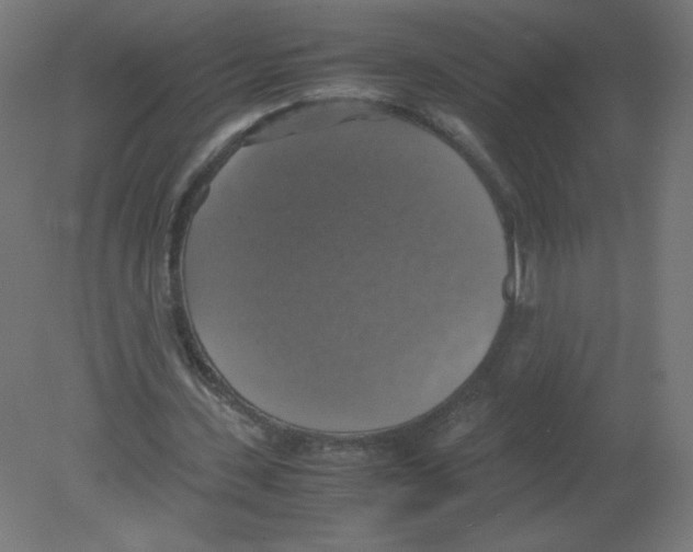 X0000080760531200701122032