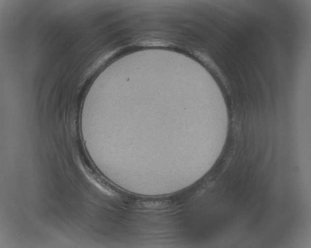 X0000080760533200701122032