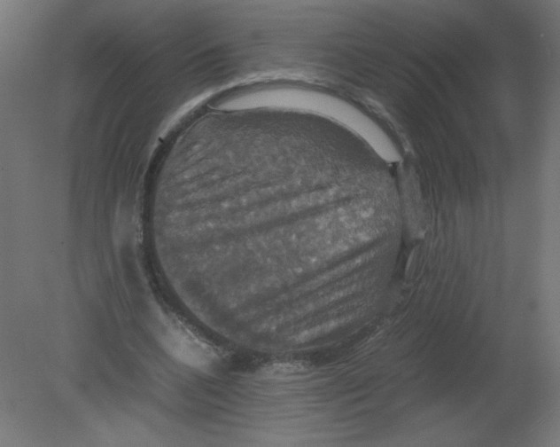 X0000080760536200701122032