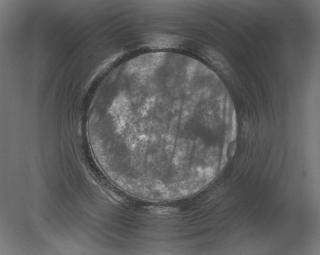 X0000080760539200701122032