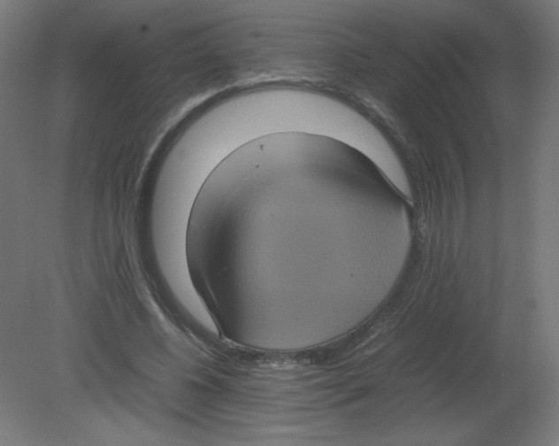 X0000080760540200701122032