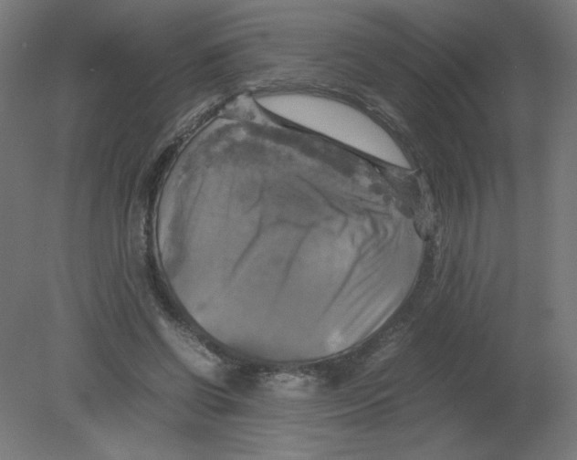 X0000080760542200701122032