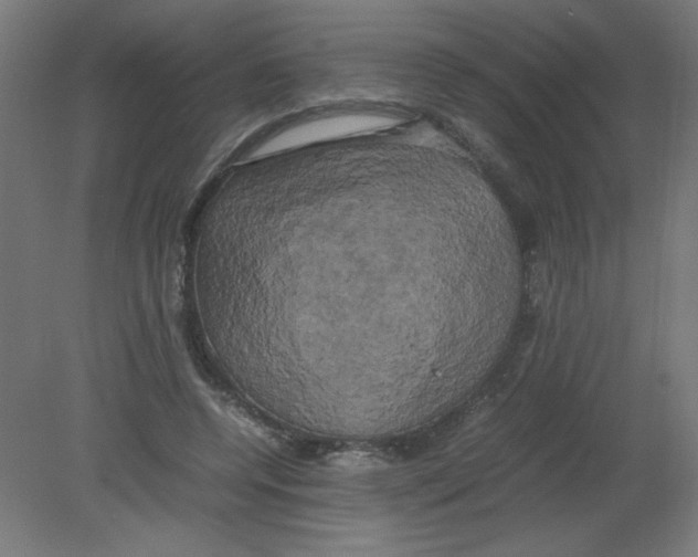 X0000080760544200701122032