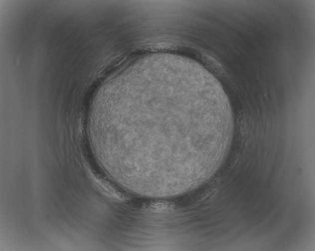 X0000080760546200701122032