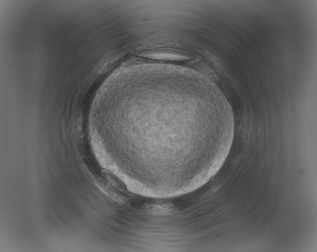 X0000080760548200701122032
