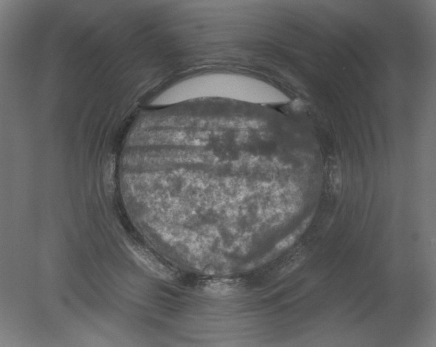 X0000080760550200701122032