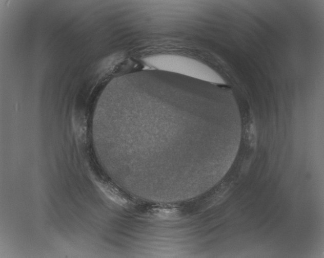 X0000080760552200701122032