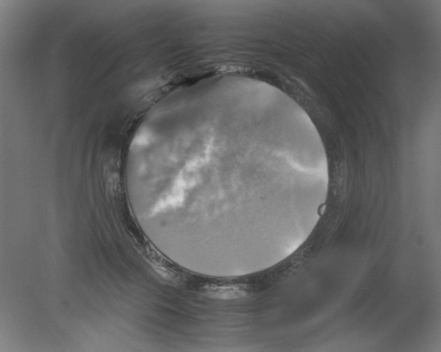 X0000080760553200701122032