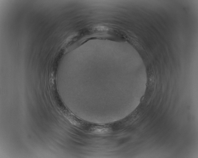 X0000080760555200701122032