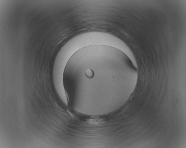 X0000080760556200701122032