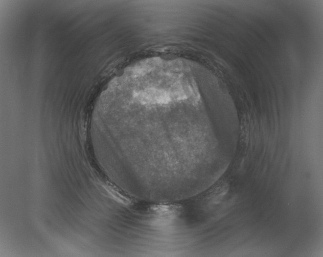 X0000080760558200701122032