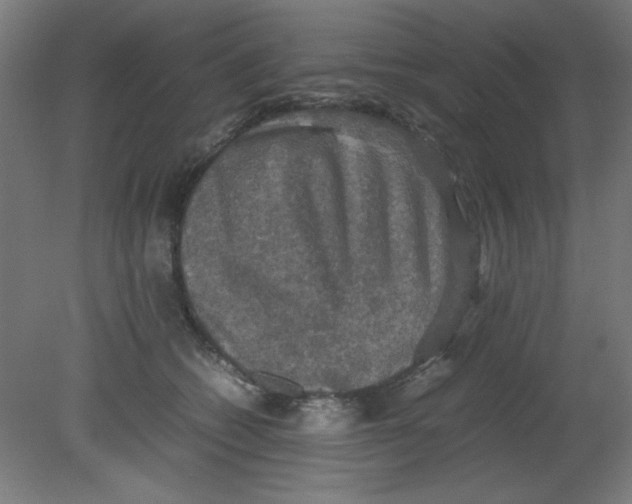 X0000080760562200701122032