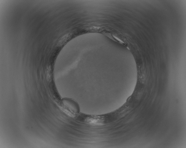 X0000080760563200701122032