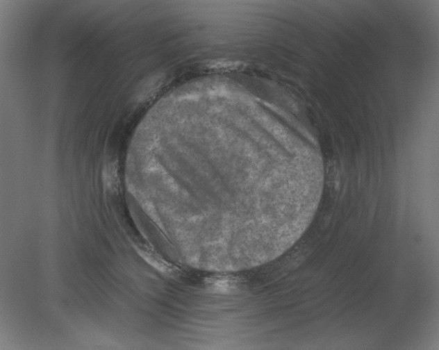 X0000080760564200701122032