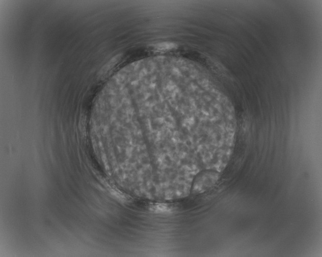 X0000080760565200701122032