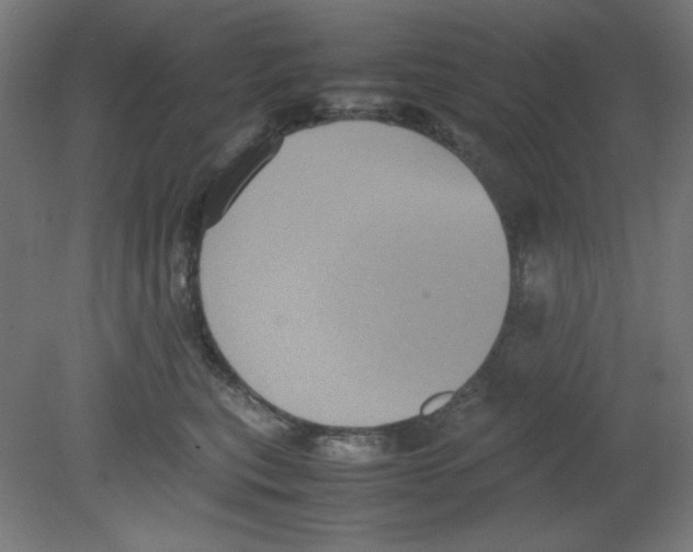 X0000080760567200701122032