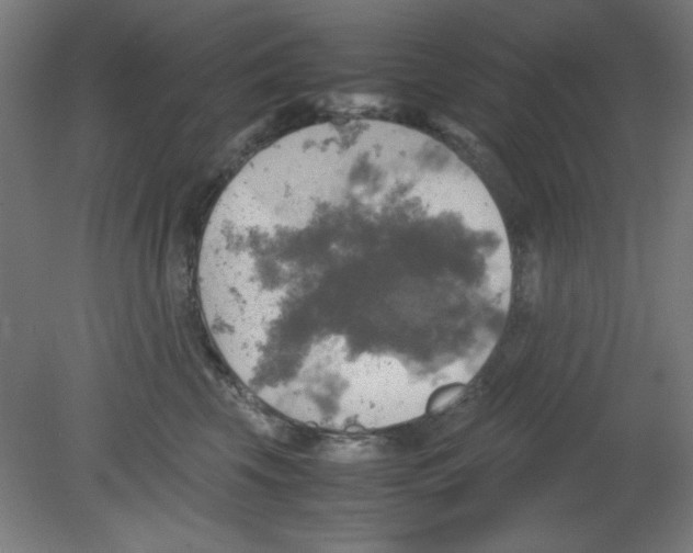 X0000080760569200701122032