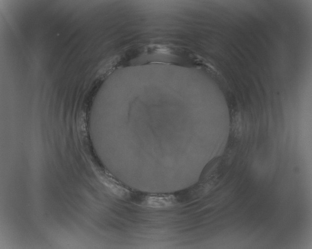 X0000080760571200701122032