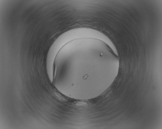 X0000080760572200701122032