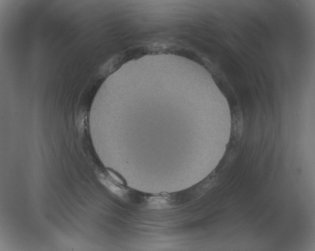 X0000080760574200701122032