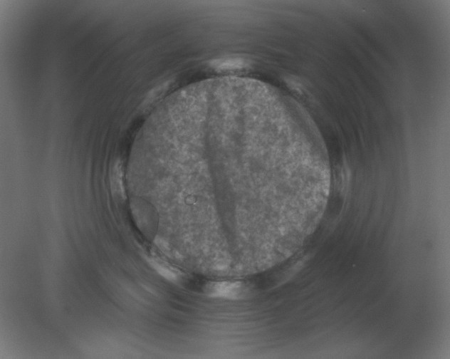 X0000080760575200701122032