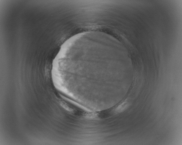 X0000080760576200701122032