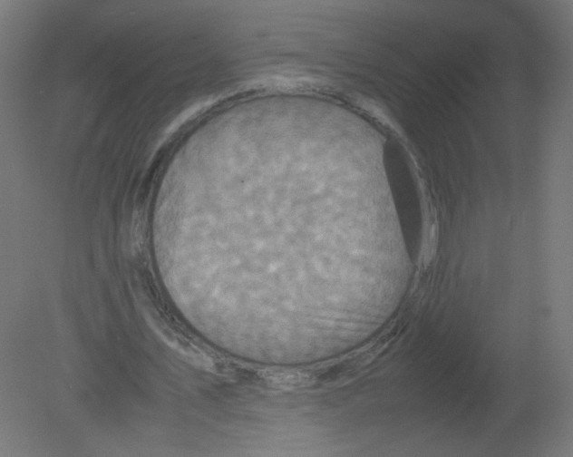 X0000080760579200701122031
