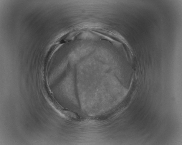 X0000080760581200701122031