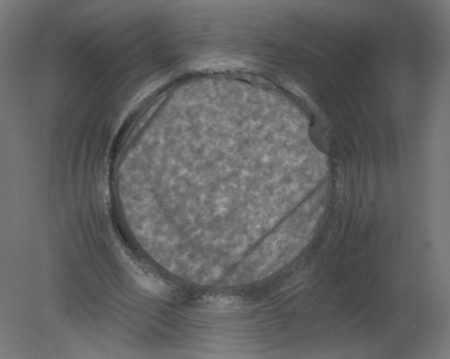 X0000080760582200701122031