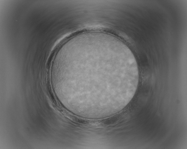 X0000080760583200701122031