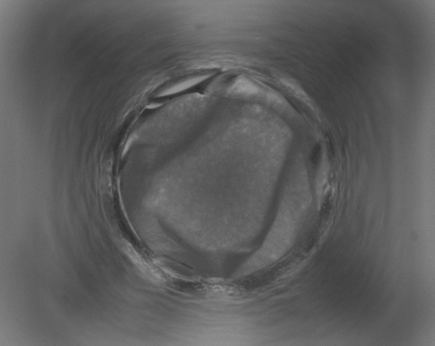 X0000080760585200701122031