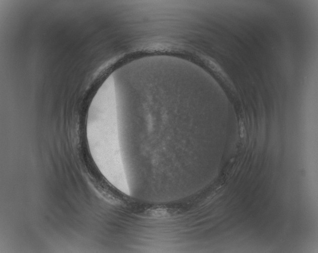 X0000080760588200701122031