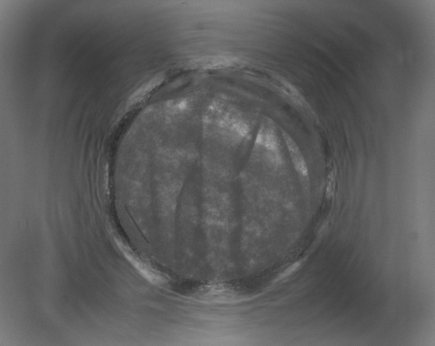 X0000080760589200701122031
